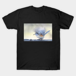 Feathered Fan T-Shirt